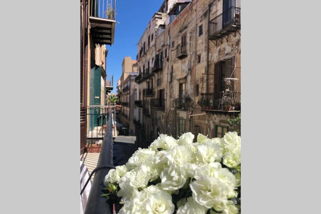 Piazza Marina Open Space Palermo Exteriér fotografie